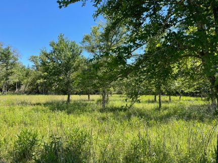 Undeveloped Land in Robertson County, Texas