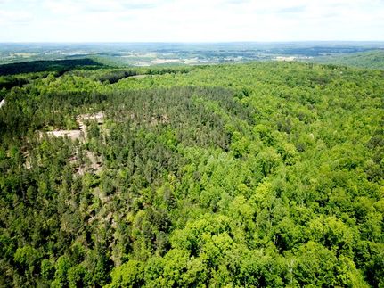 Timberland Property in Walker County, Alabama