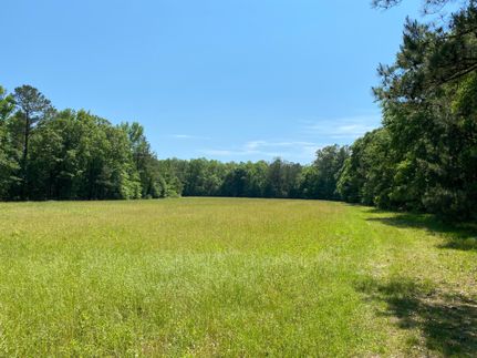Recreational Property in Russell County, Alabama