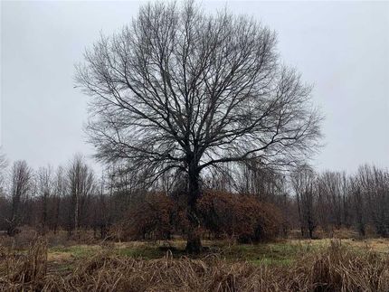 Recreational Property in White County, Arkansas