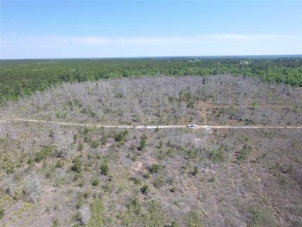 Timberland Property in Wayne County, Georgia