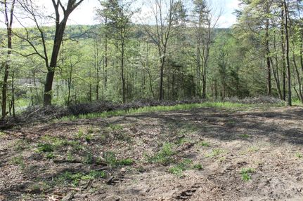 Undeveloped Land in Hampshire County, West Virginia