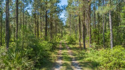 Undeveloped Land in Colquitt County, Georgia