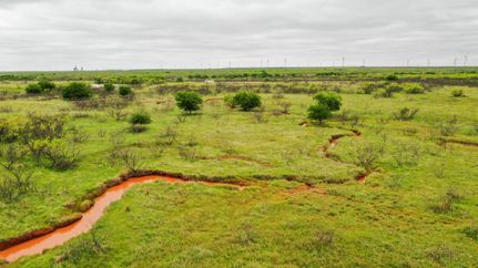 Land in Wilbarger County, Texas