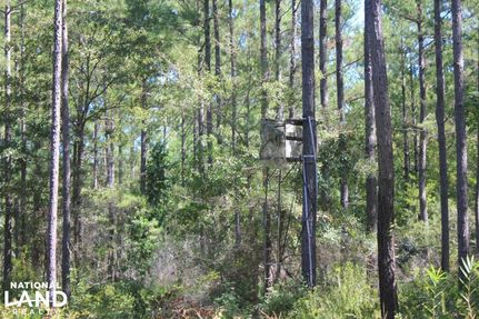 Land in Charleston County, South Carolina