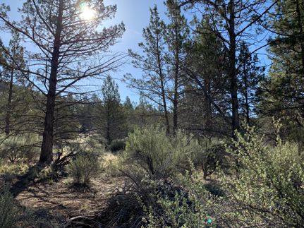 Farm and Ranch in Klamath County, Oregon
