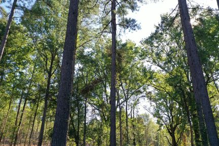 Land in Brown County, Nebraska
