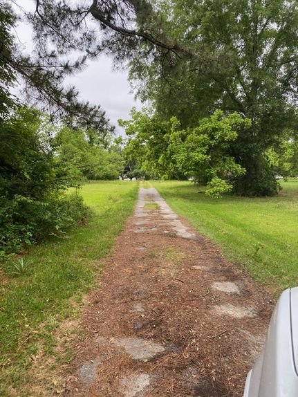 Undeveloped Land in Caldwell Parish, Louisiana