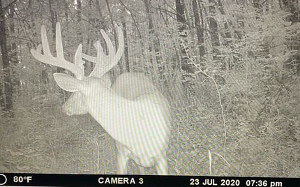 Farm and Ranch in Clark County, Missouri