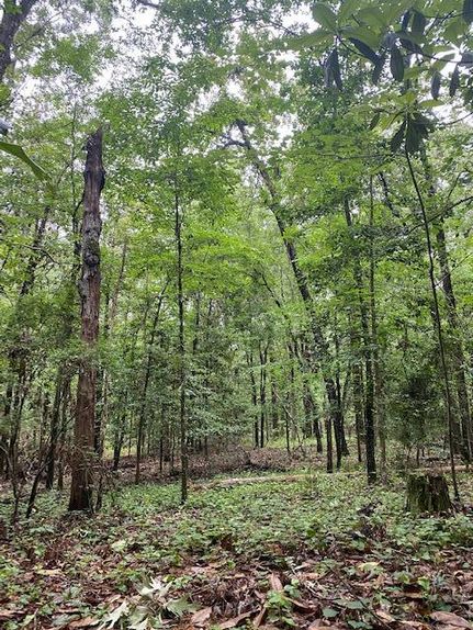 Homesite in Rapides Parish, Louisiana