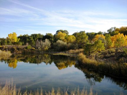 Riverfront Property in Pueblo County, Colorado