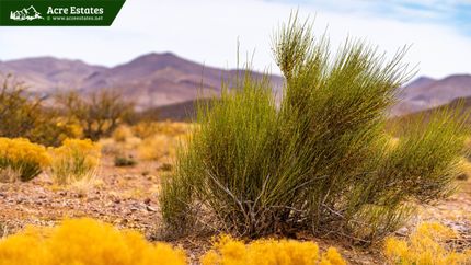 Farm and Ranch in Socorro County, New Mexico