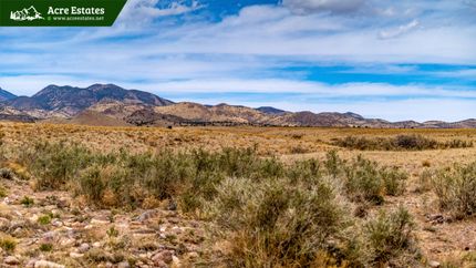 Timberland Property in Socorro County, New Mexico
