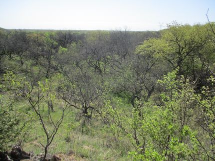 Farm and Ranch in Jack County, Texas