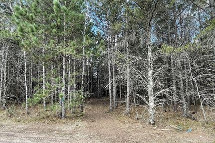 Timberland Property in Burnett County, Wisconsin