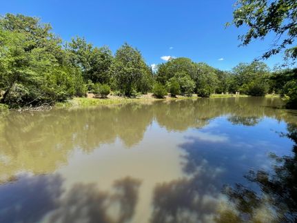 Timberland Property in Freestone County, Texas