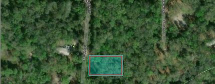 Farm and Ranch in Sumter County, Florida