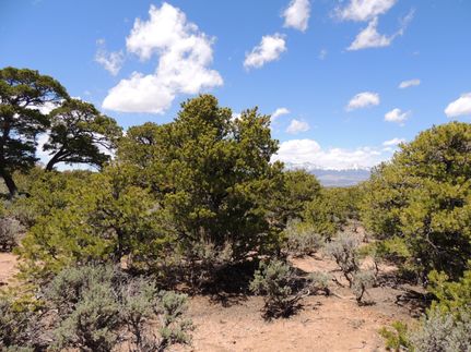 Farm and Ranch in Costilla County, Colorado