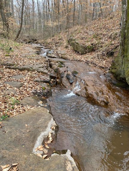 Timberland Property in Lamar County, Georgia
