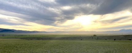 Undeveloped Land in Beaverhead County, Montana