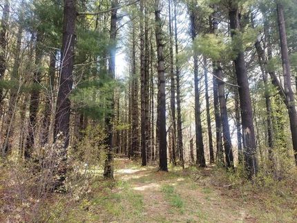 Commercial Property in Oswego County, New York