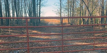 Undeveloped Land in Bedford County, Virginia