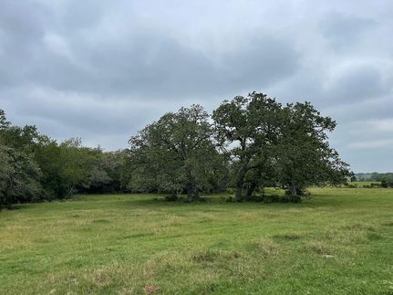 Undeveloped Land in Fayette County, Texas