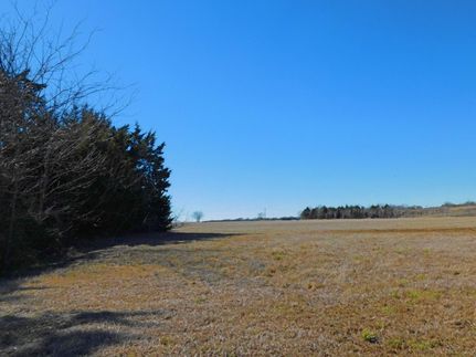 Undeveloped Land in Navarro County, Texas