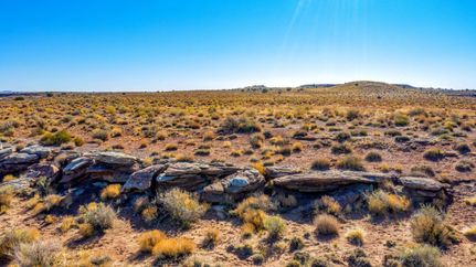 Farm and Ranch in Navajo County, Arizona