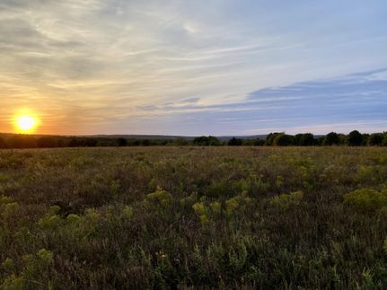 Timberland Property in Pittsburg County, Oklahoma