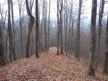 Land in Graham County, North Carolina