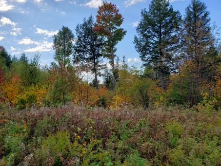 Timberland Property in Penobscot County, Maine