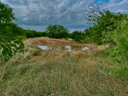 Farm and Ranch in Live Oak County, Texas