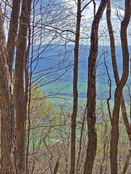 Undeveloped Land in Monroe County, West Virginia