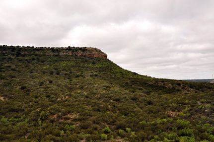Farm and Ranch in Coke County, Texas