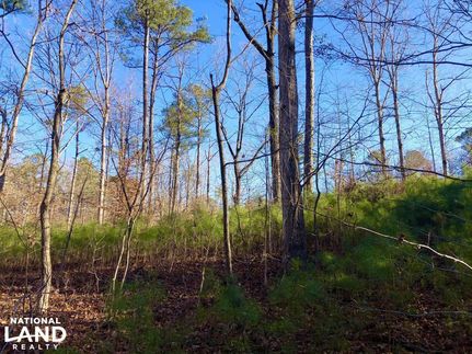 Farm and Ranch in Shelby County, Alabama