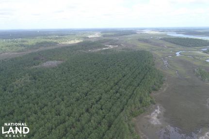 Undeveloped Land in Glynn County, Georgia