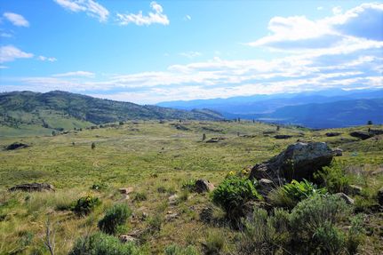 Undeveloped Land in Okanogan County, Washington
