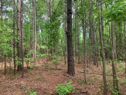 Farm and Ranch in Tuscaloosa County, Alabama