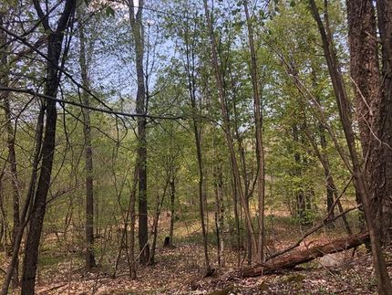 Commercial Property in Lewis County, New York