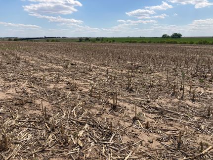 Farm and Ranch in Webster County, Nebraska