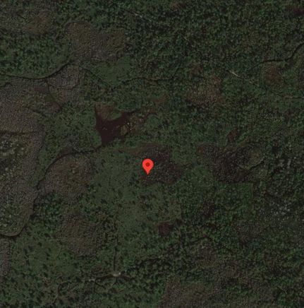 Undeveloped Land in Volusia County, Florida