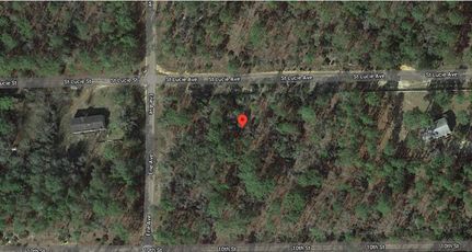 Undeveloped Land in Putnam County, Florida