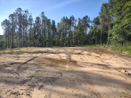 Farm and Ranch in Pike County, Alabama