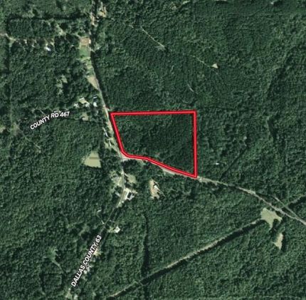 Undeveloped Land in Dallas County, Alabama