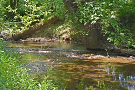 Riverfront Property in Henry County, Virginia