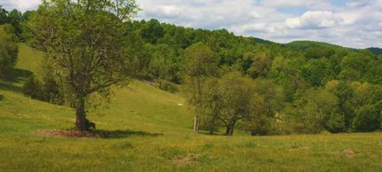 Land in Hancock County, Tennessee