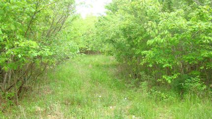 Waterfront Property in Howell County, Missouri