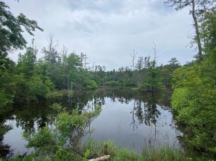 Recreational Property in Escambia County, Alabama