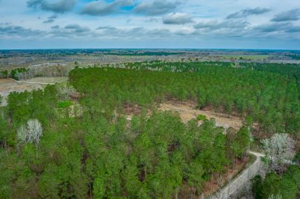 Farm and Ranch in Horry County, South Carolina